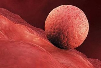 2026年拉拉可以在中山市博爱医院做三代试管吗？大概要花费多少钱？