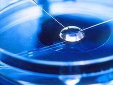 去泰国做试管婴儿价位