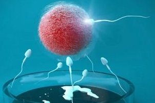 40岁卵巢早衰做试管成功案例，分享经验，传递好孕