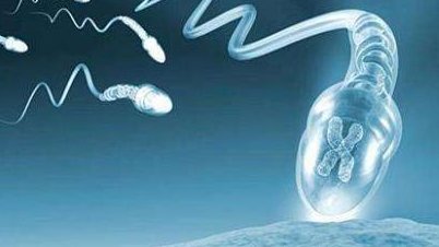 安阳三大助孕机构分别是哪3家