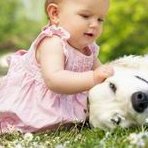 2026年未婚去解放军第983医院做试管的成功率高吗？未婚试管条件介绍