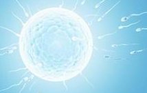 苏州有哪些助孕公司？5家机构上榜