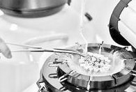 成都西囡做试管的费用大概多少钱？