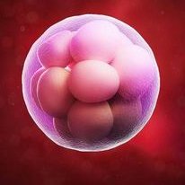 2026年去桂林做三代试管应该选择哪家医院，有推荐的吗？