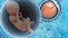 2026年没有精子去解放军第983医院做三代试管的费用详解