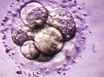 兰州市正规民营助孕机构排名然后(兰州试管婴儿成功率多少)