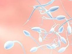 河北医科大学第一医院做试管婴儿的费用大概多少？成功率高不高？