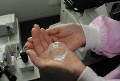 2026年拉拉去河北燕达医院做试管的成功率有多少？拉拉试管成功案例分享